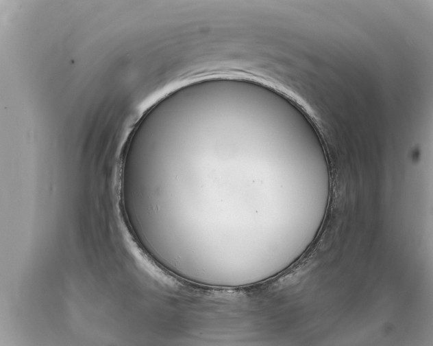 X0000089671526200706210741