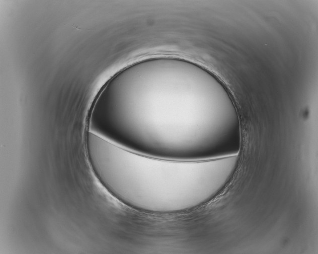 X0000089671527200706210741