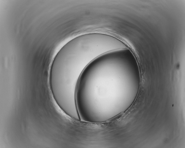 X0000089671528200706210741