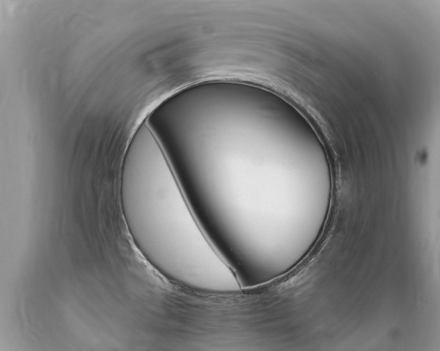 X0000089671529200706210741