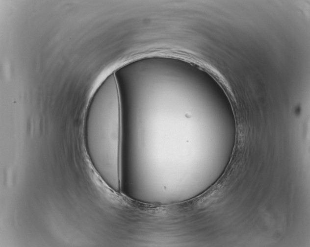 X0000089671530200706210741