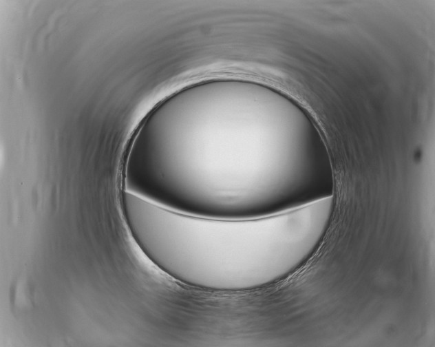 X0000089671531200706210741