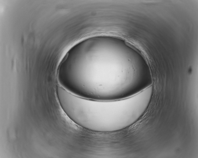 X0000089671532200706210741