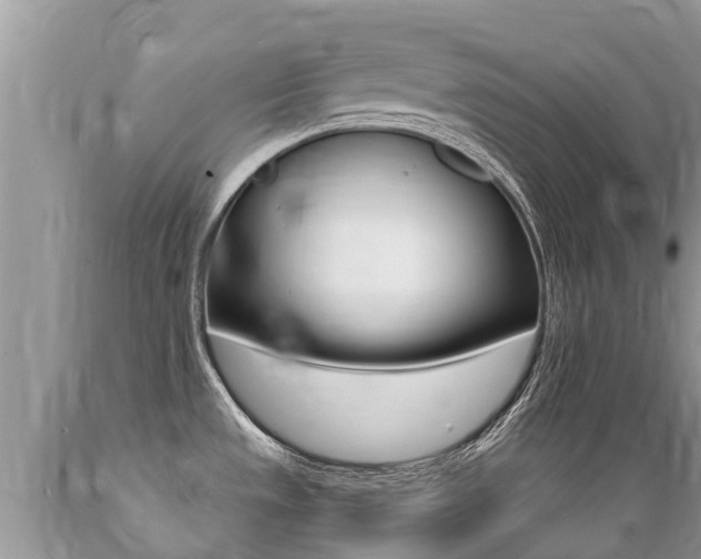 X0000089671533200706210741