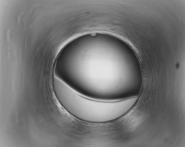 X0000089671534200706210741