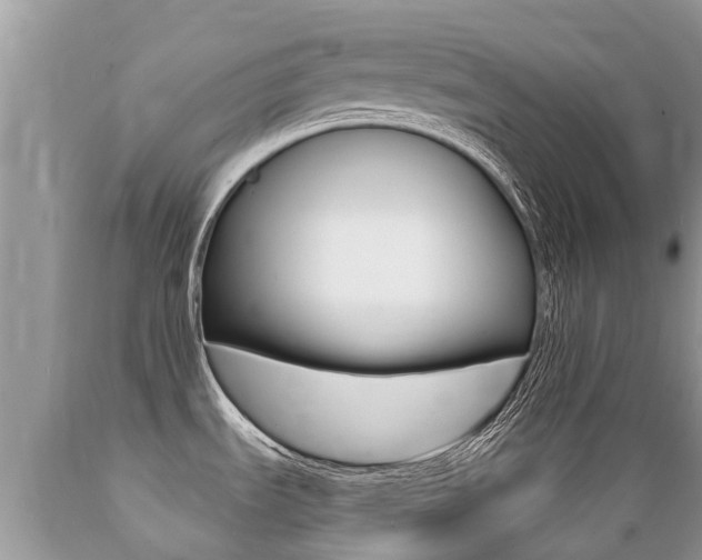 X0000089671535200706210741
