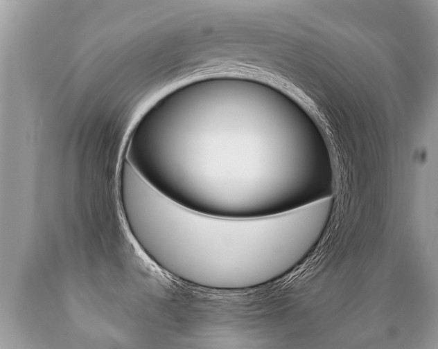 X0000089671536200706210741