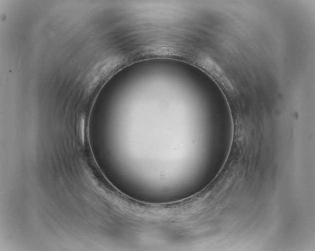 X0000089670014200706211205