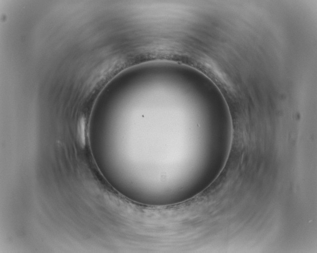 X0000089670022200706211205