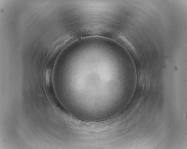 X0000089670026200706211205