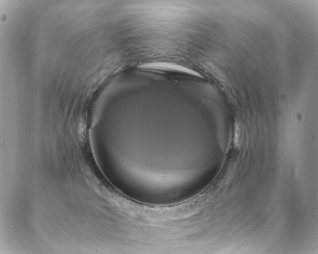 X0000089670039200706211205