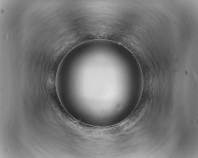 X0000089670040200706211205