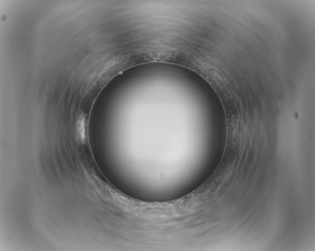 X0000089670042200706211205