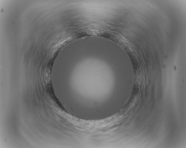 X0000089670043200706211205