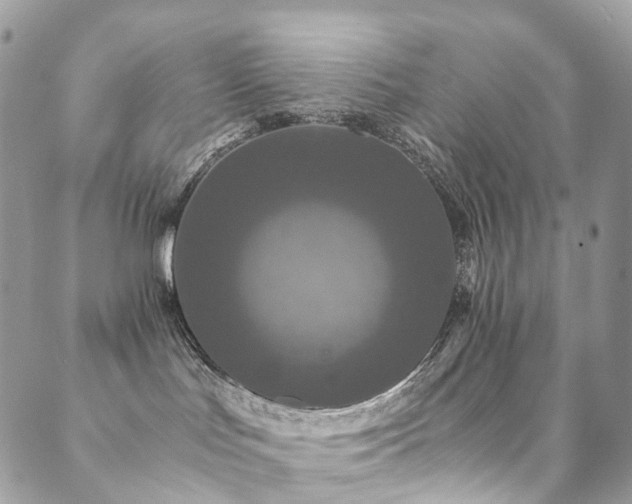 X0000089670047200706211205
