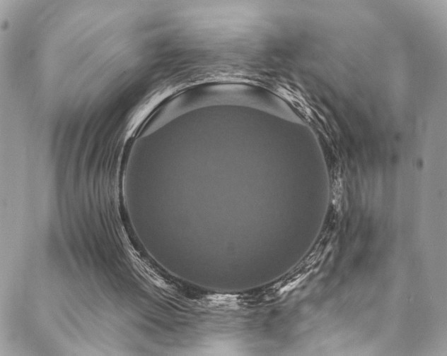 X0000089670052200706211204