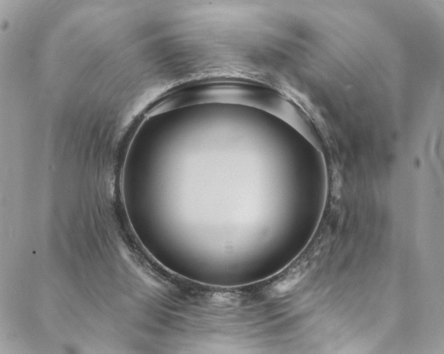 X0000089670060200706211204