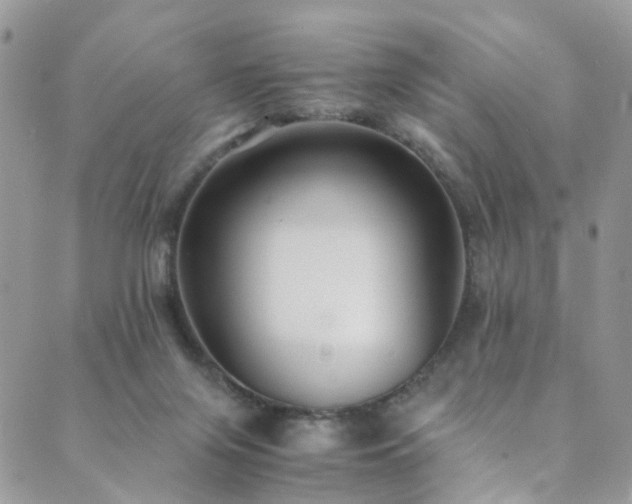X0000089670071200706211204