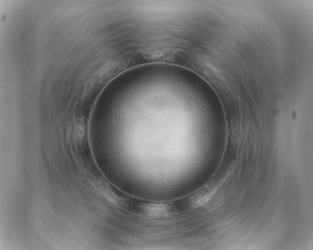 X0000089670085200706211205