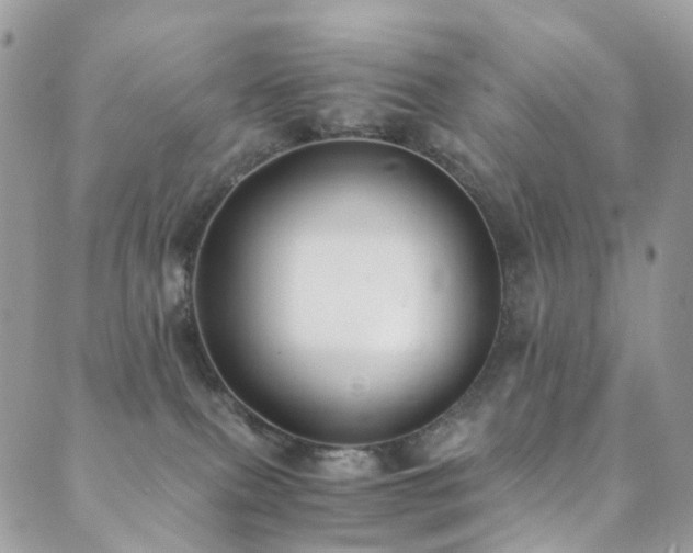 X0000089670087200706211205