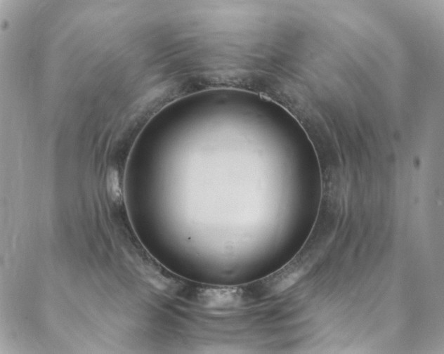 X0000089670089200706211205