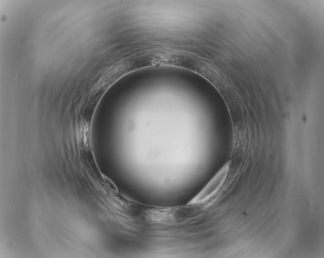 X0000089670094200706211205