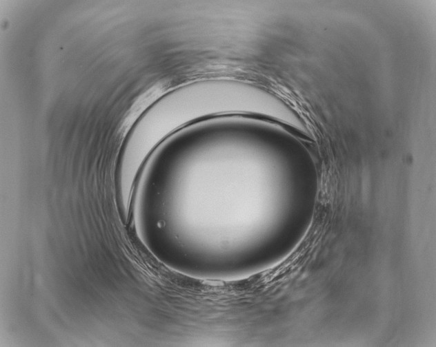 X0000089670099200706211204