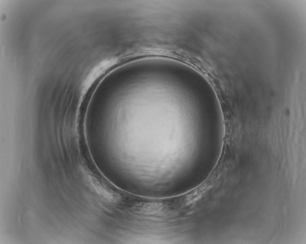 X0000089670104200706211204