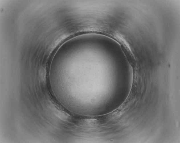 X0000089670108200706211204