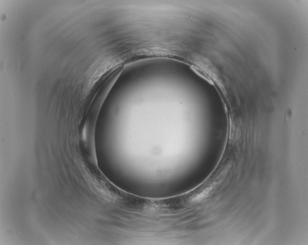 X0000089670109200706211204