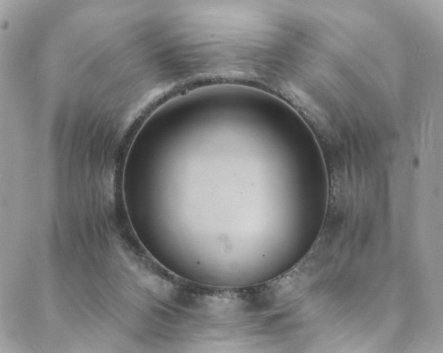 X0000089670112200706211204