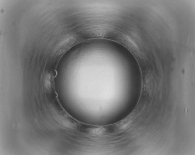 X0000089670122200706211204