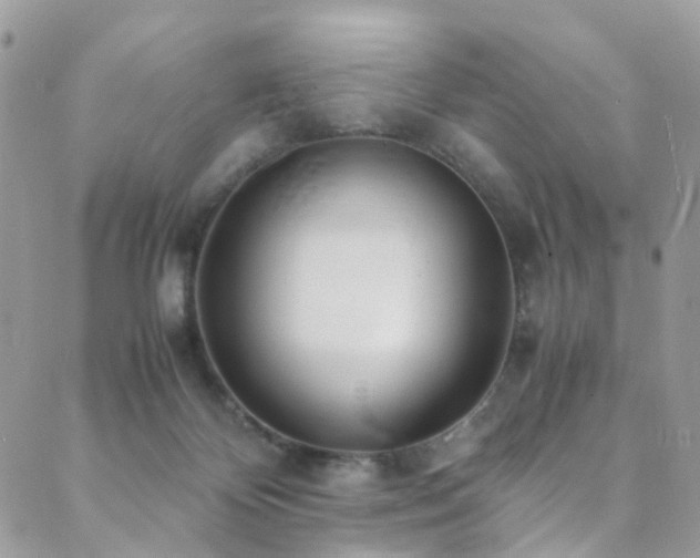 X0000089670124200706211203