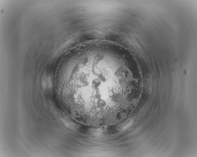 X0000089670131200706211203