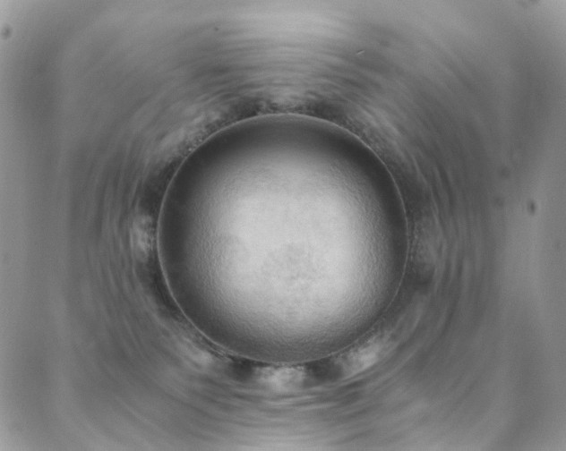 X0000089670135200706211203