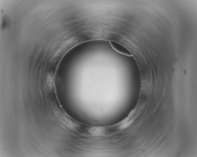 X0000089670142200706211203