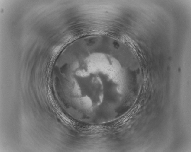 X0000089670145200706211202