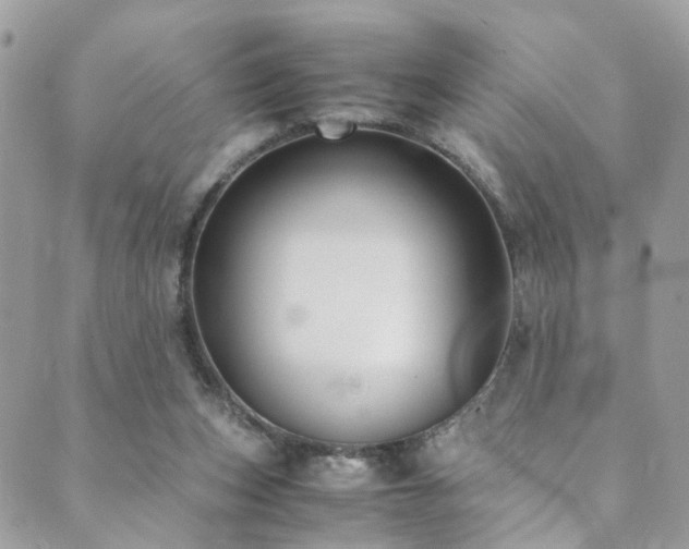 X0000089670159200706211203