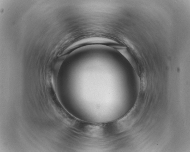 X0000089670170200706211203