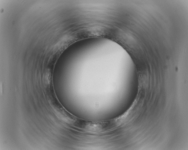 X0000089670174200706211203