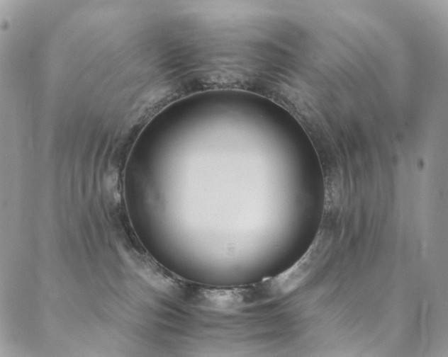 X0000089670187200706211203