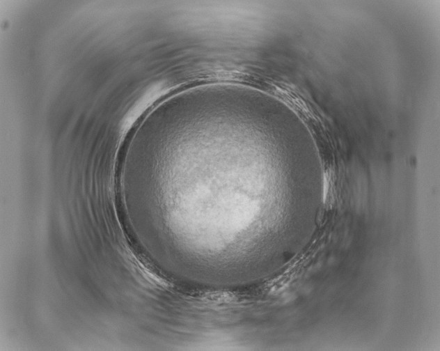 X0000089670195200706211202