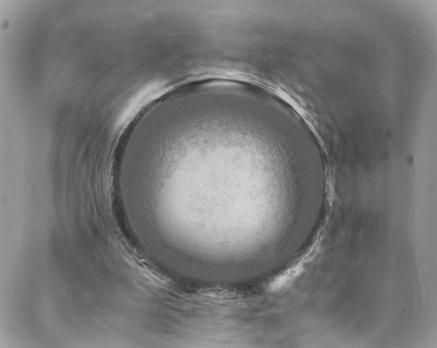 X0000089670199200706211202