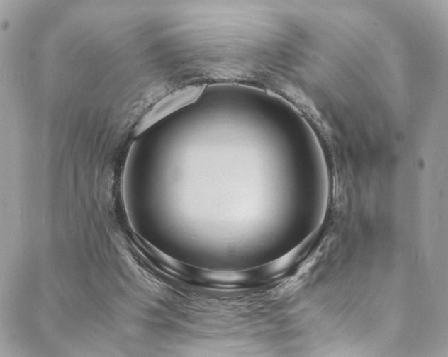 X0000089670201200706211202