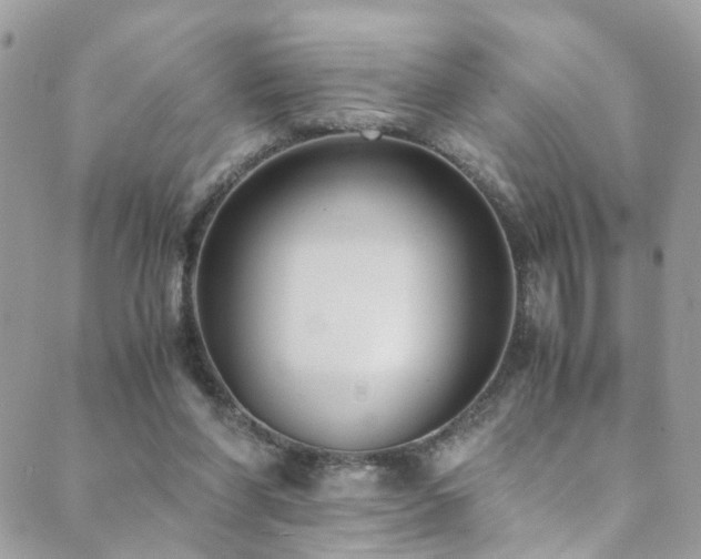 X0000089670206200706211202