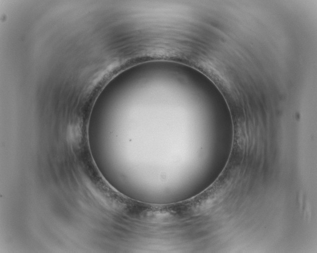 X0000089670208200706211202