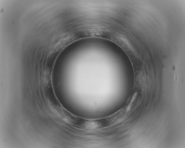 X0000089670218200706211202