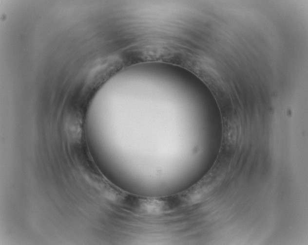 X0000089670226200706211202