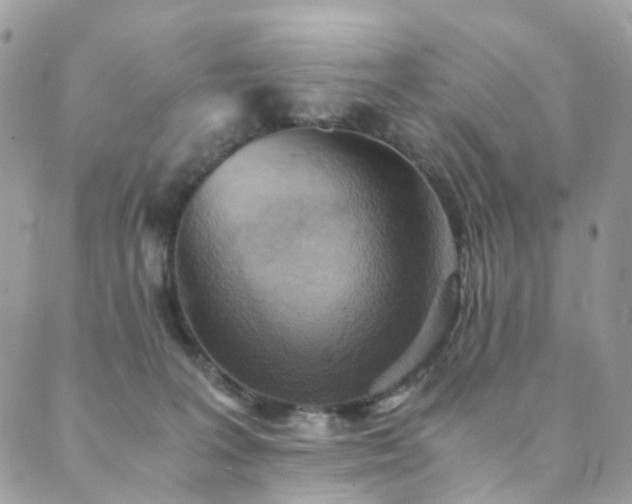 X0000089670227200706211202