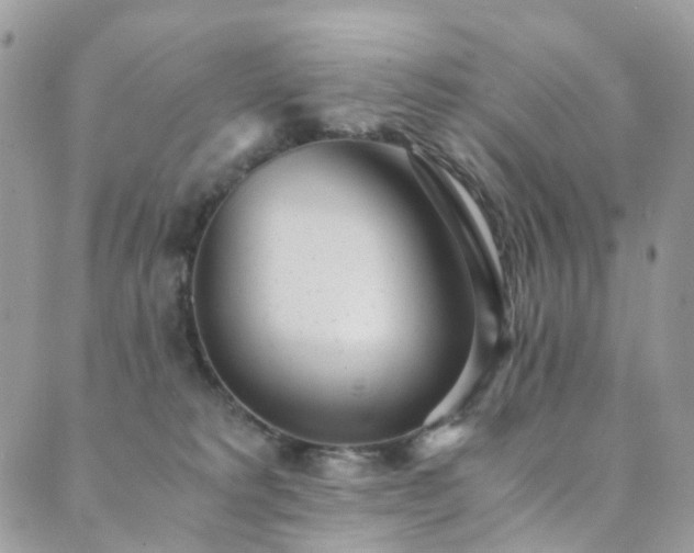X0000089670229200706211202